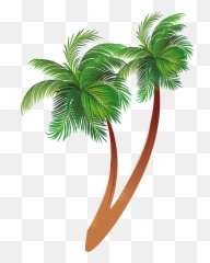 Free Download Cartoon Palm Tree Clipart Coconut - Transparent Background png
