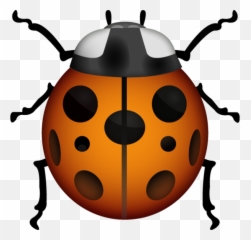 Lady Beetle Emoji Cool Images - Bug png