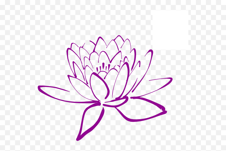 Magnolia Flower Clip Art - Lotus Flower Outline Png Flower Drawing Lotus Png,Flower Outline Png
