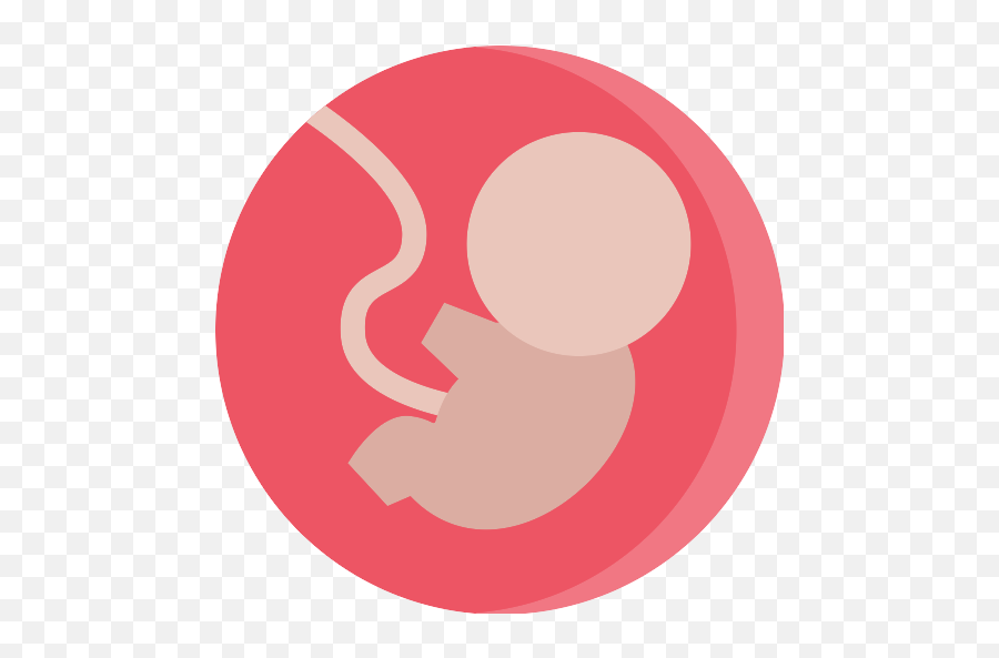 Fetus Pregnant Png Icon - Fetus Icon Png,Pregnant Png