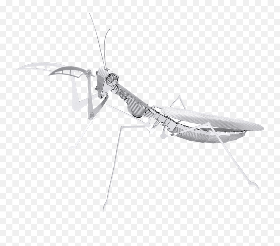 Metal Earth Bugs - 3d Metal Model Mantis Png,Mantis Png