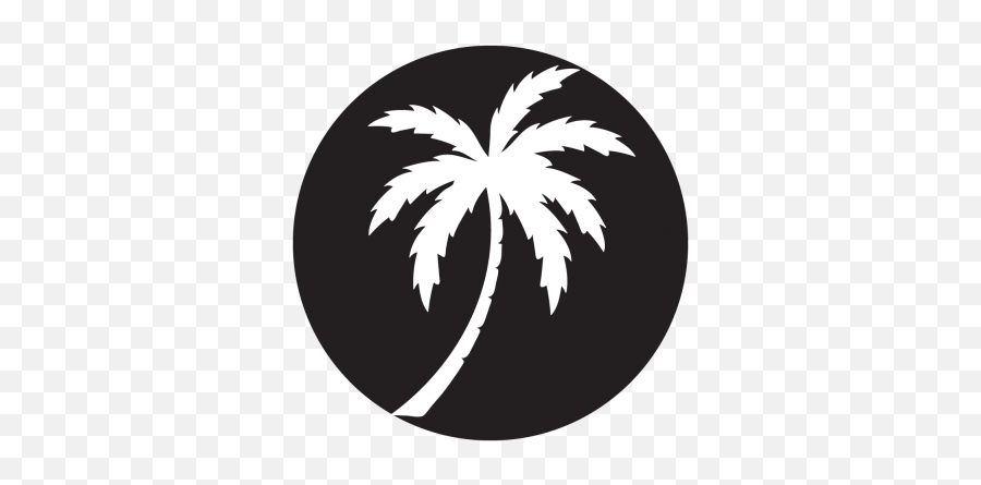 Download Palm Silhouette Projected Image - Palm Tree Palm Tree Circle Logo Transparent Png,Palm Tree Silhouette Png