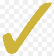Gold Check Mark - Icon png