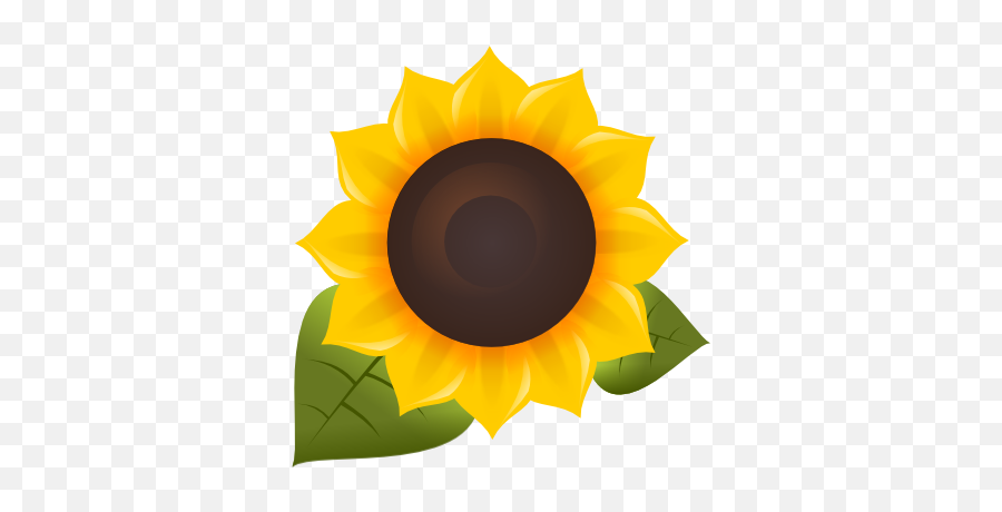 Filesunflower Fm Logopng - Wikimedia Commons Sunflower Logo,Sun Flower Png