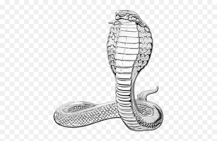Silver King Cobra - Shirt Serpent Png,King Cobra Png