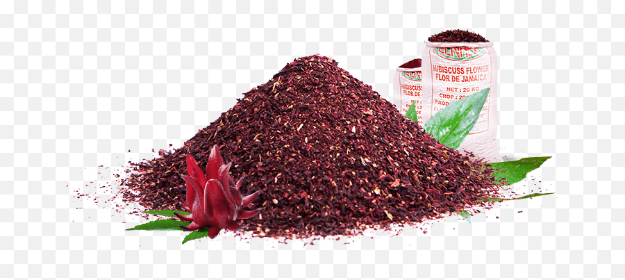 Flor De Jamaica Png 2 Image - Hibiscus Tea Png,Jamaica Png