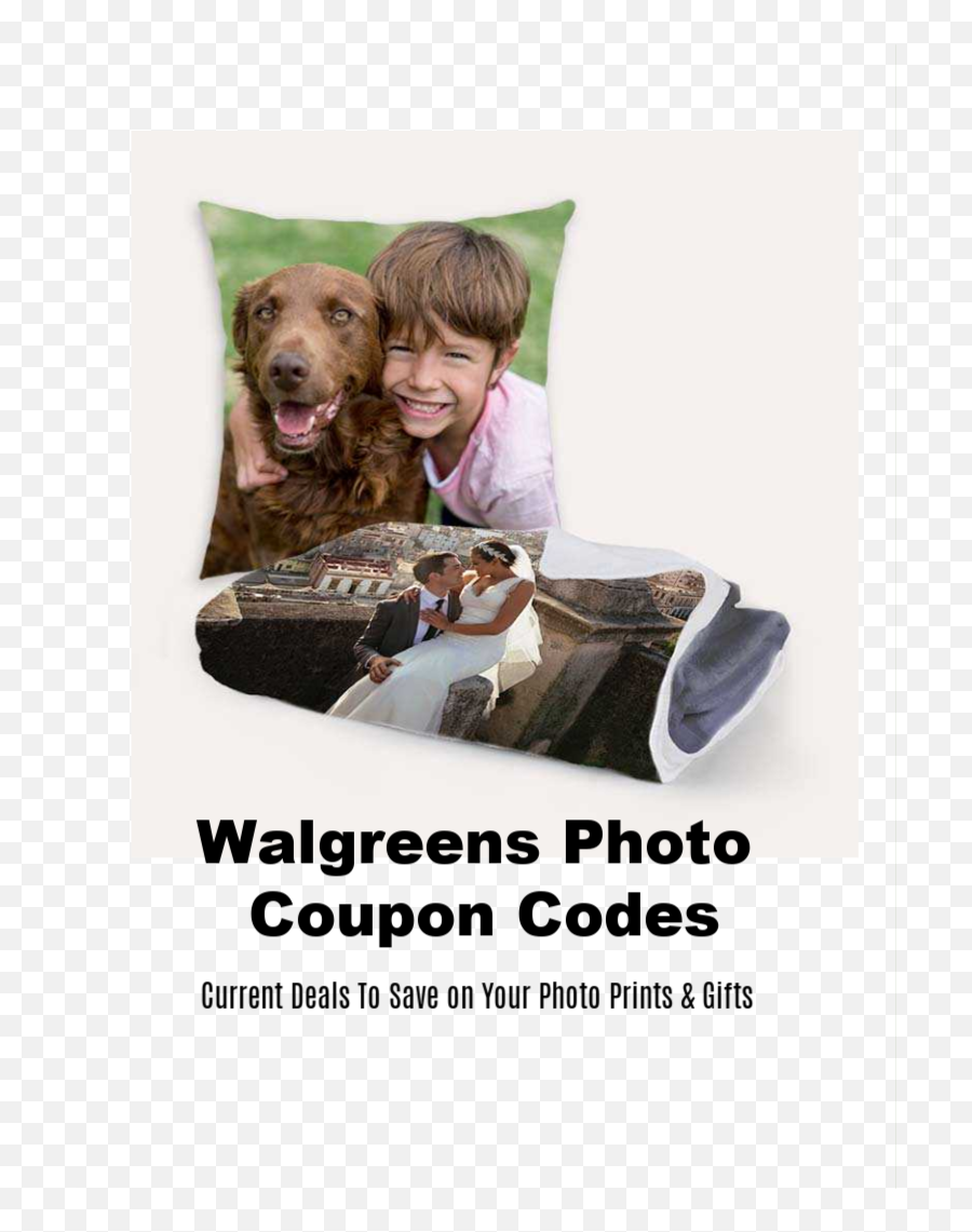 Walgreens Photo Coupon Codes - Free 8x10 Photo U0026 More Current Walgreens Photo Coupon Png,Walgreens Png