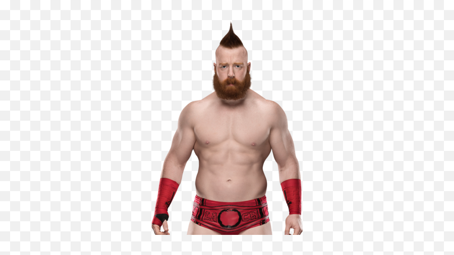 Sheamus Pro Wrestling Fandom - Sheamus Wrestler Png,Dolph Ziggler Png