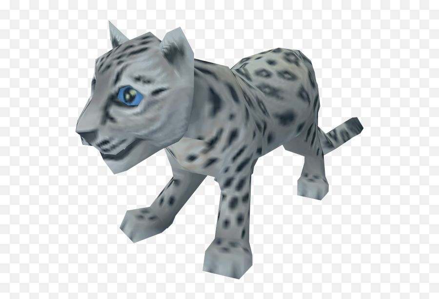 Snow Leopard Cub - Snow Leopard Png,Snow Leopard Png