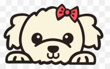Peekaboo Poodle With Bow Tie Flat - Transparent Png U0026 Svg Clip Art,Poodle Png