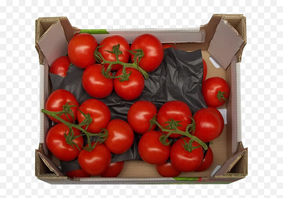 Tomatoes Trusses Box - Caja De Tomate Png,Tomato Transparent