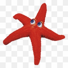 Animation Starfish - Starfish Png,Starfish Transparent Background