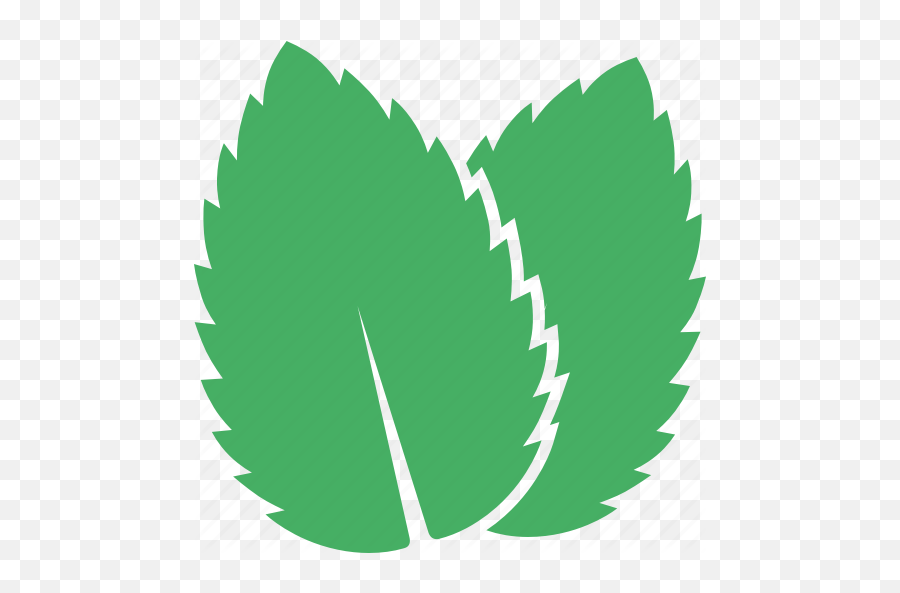 Mentha Mint Peppermint Spearmint Icon - Mint Leaves Icon Png,Mint Leaves Png