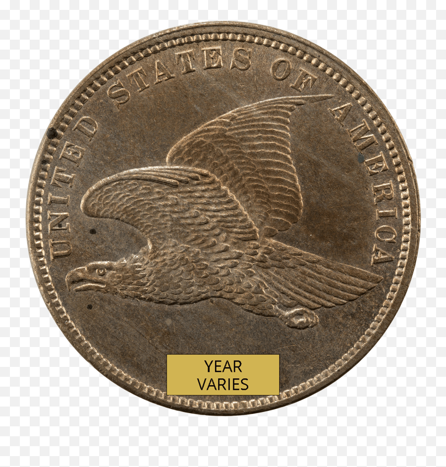 Flying Eagle Cent Year Varies - Buy U0026 Sell Gold U0026 Silver Coin Png,Flying Money Png