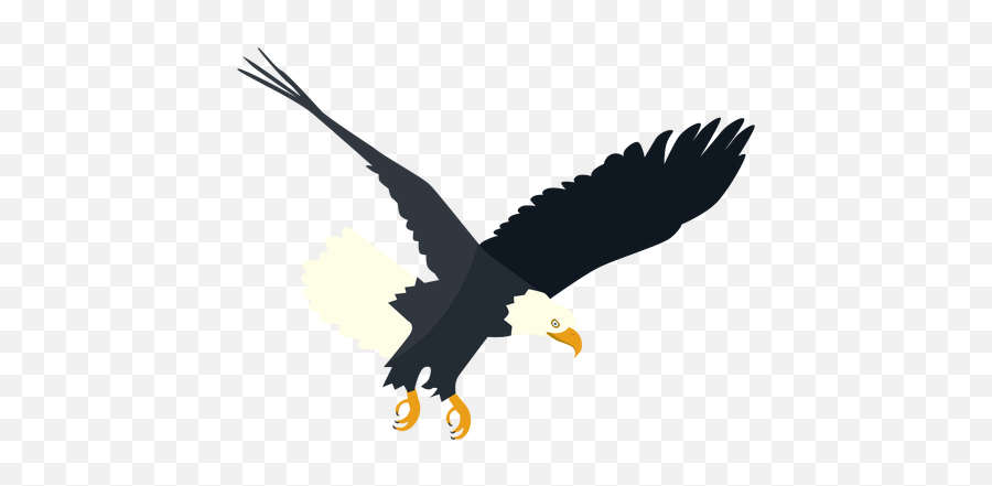 Bald Eagle Diving Flat - Cb Eagle Background Hd Png,Aguila Png - free  transparent png images 