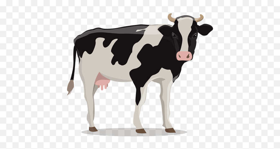 Cow Illustration Farm - Transparent Png U0026 Svg Vector File Thumbnail Cow,Cattle Png