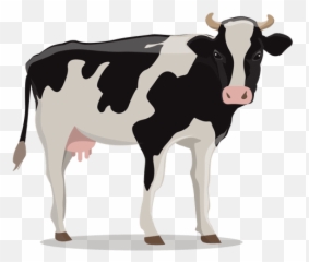 Cow Illustration Farm - Transparent Png U0026 Svg Vector File Thumbnail Cow,Cattle Png