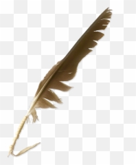 Nw - Animal Product png
