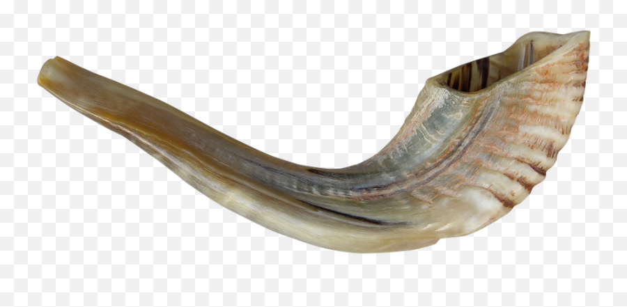 Hd Shofar Png Transparent Image - Shofar Png,Shofar Png