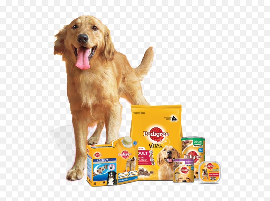 Pedigree Logo Png - Golden Retriever Pedigree Food,Pedigree Logo