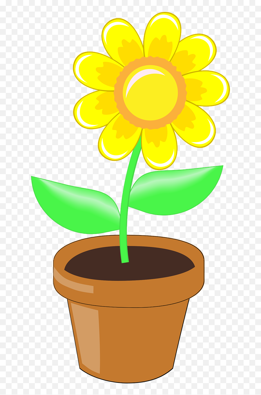 Flower Yellow Nature - Free Vector Graphic On Pixabay Gambar Pot Dan Bunga Png,Green And Yellow Flower Logo