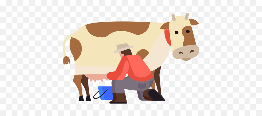 Cow Milking Illustration - Transparent Png U0026 Svg Vector File Milking Cow Png,Cow Transparent