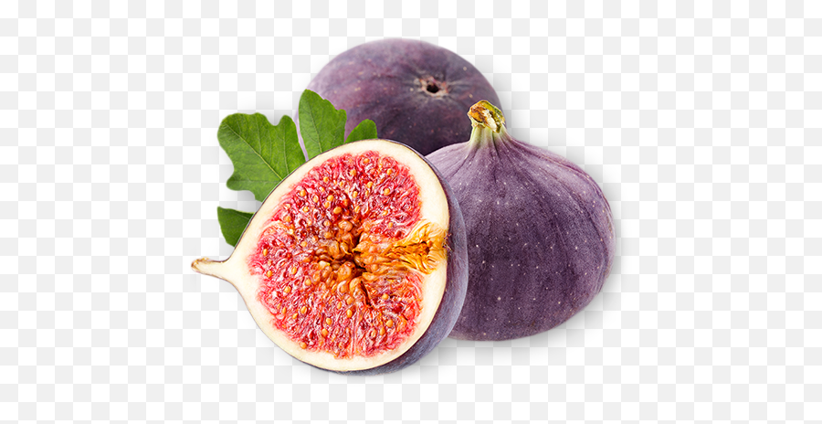 The Health Benefits Of Figs - Follow Me Hair Spray Png,Fig Png