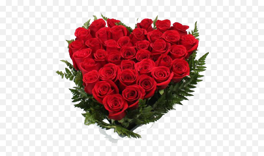 Rosas Rojas Png - Love Morning Wishes Good Morning Image In Hd,Rosas Rojas Png