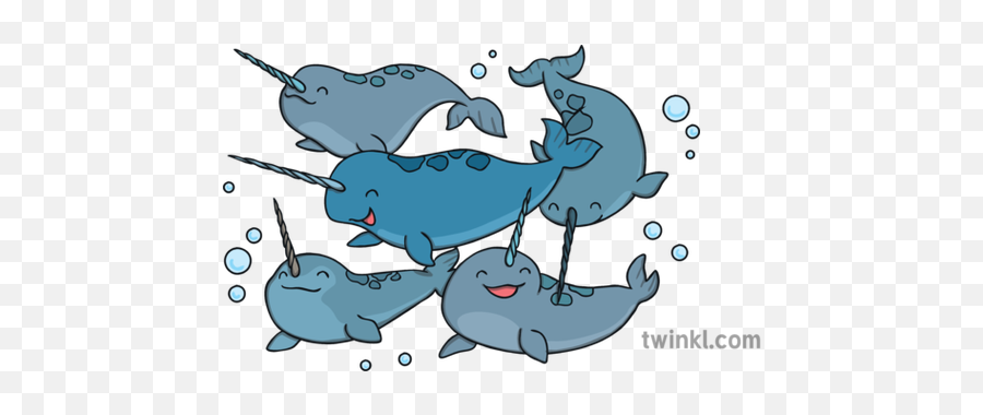 What Is A Narwhal - Answered Twinkl Teaching Wiki Fish Png,Narwhal Icon