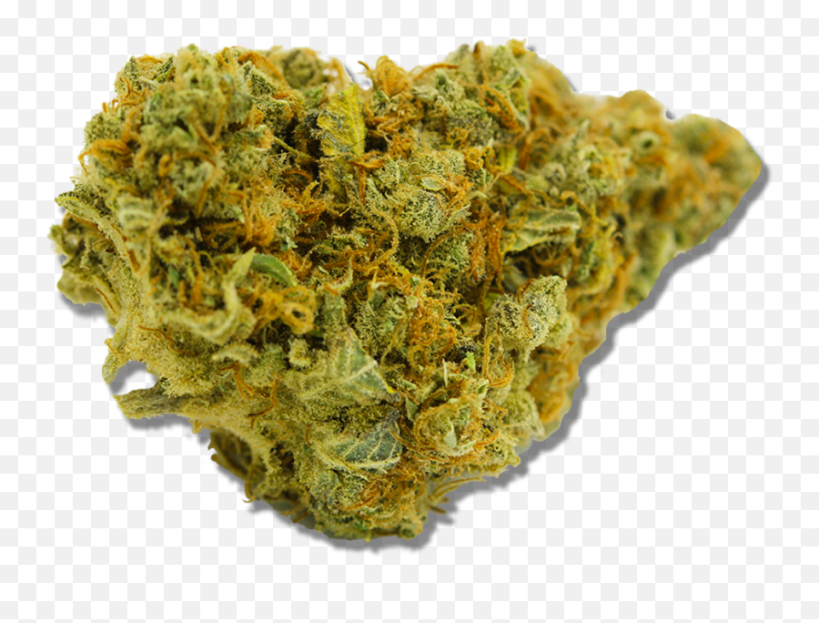 Las Vegas Recreational U0026 Medical Cannabis Products - Omg Thc Solid Png,Marijuana Bud Icon