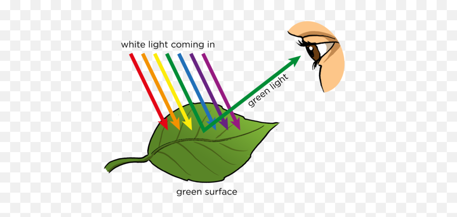 Opaque And Transparent Substances - Do We See Light Png,White Light Transparent