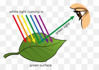 Opaque And Transparent Substances - Do We See Light png