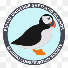 Portfolio Chillvisio - Atlantic Puffin png