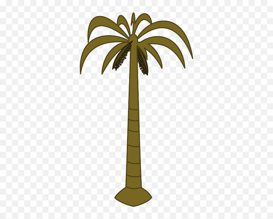 Black Outline Drawing Silhouette Palm Tree White Png