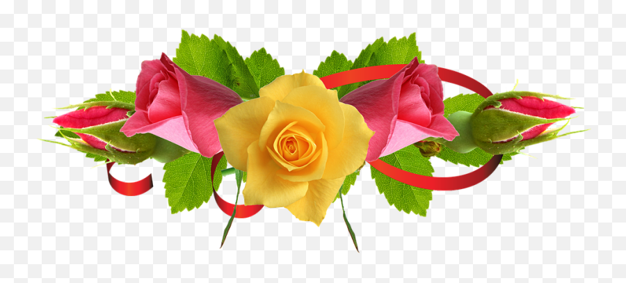 Rose Flower Png Images 4 Image - Red And Yellow Flower Png,Flower Png