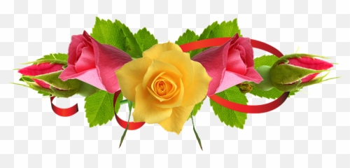 Rose Flower Png Images 4 Image - Red And Yellow Flower Png