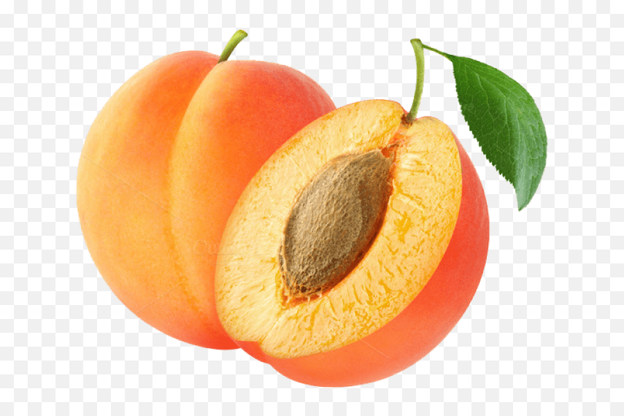 Free Png Apricot Images Transparent - Apricot Png Transparent,Fruit Transparent Background