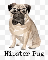 Pug Face - Pug Png,Pug Face Png