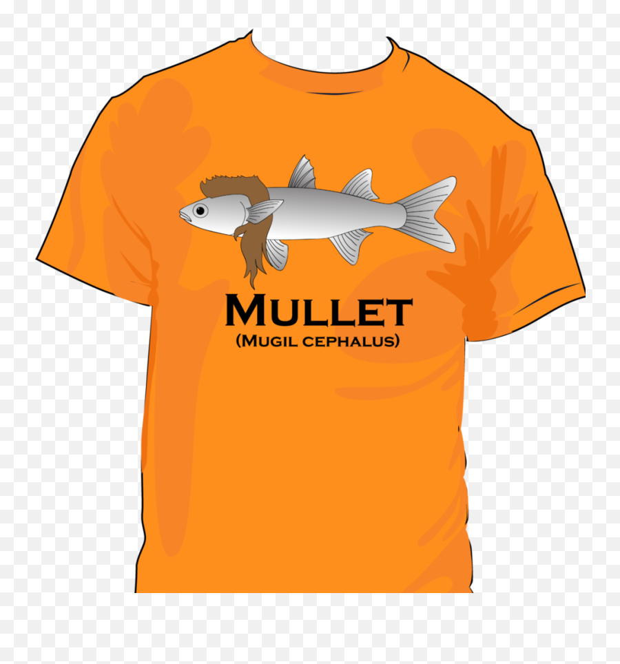 Download Hd Mullet Shirt Transparent Png Image - Nicepngcom Cat Fish,Mullet Png