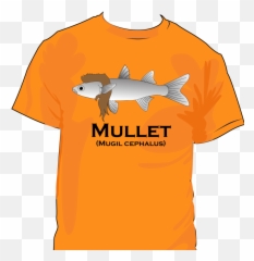 Download Hd Mullet Shirt Transparent Png Image - Nicepngcom Cat Fish,Mullet Png
