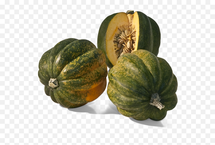 Acorn Squash Transparent Background - Squash Transparent Background Png,Acorn Transparent Background