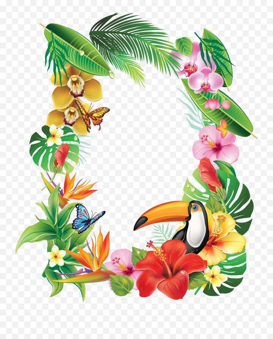 Natali - Frame Tropical Flower 1223x1463 Png Clipart Tropical Flower Frame Png,Tropical Png