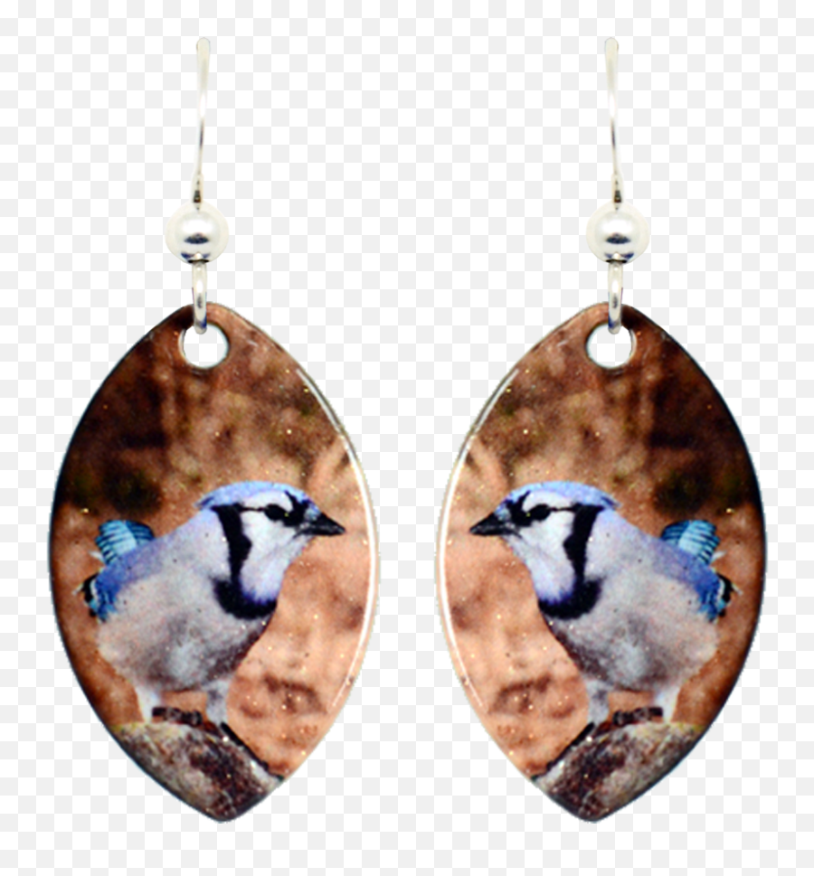 Download Blue Jay - Earrings Full Size Png Image Pngkit Earrings,Blue Jay Png
