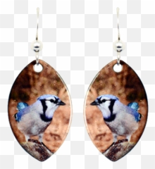 Download Blue Jay - Earrings Full Size Png Image Pngkit Earrings,Blue Jay Png