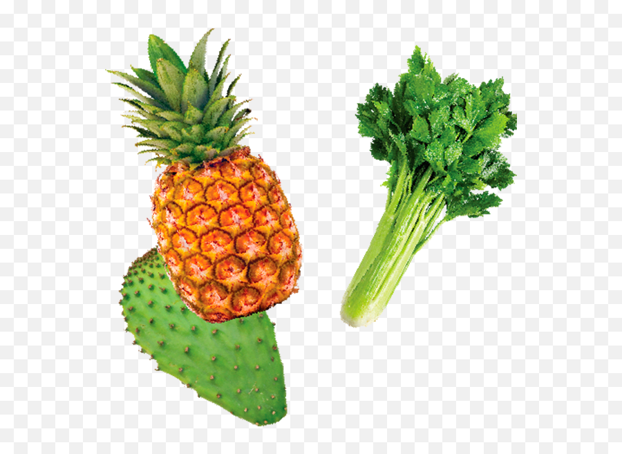 Download Piña Apio Y Nopal - Pineapple Full Size Png Image 4k Pineapple,Nopal Png