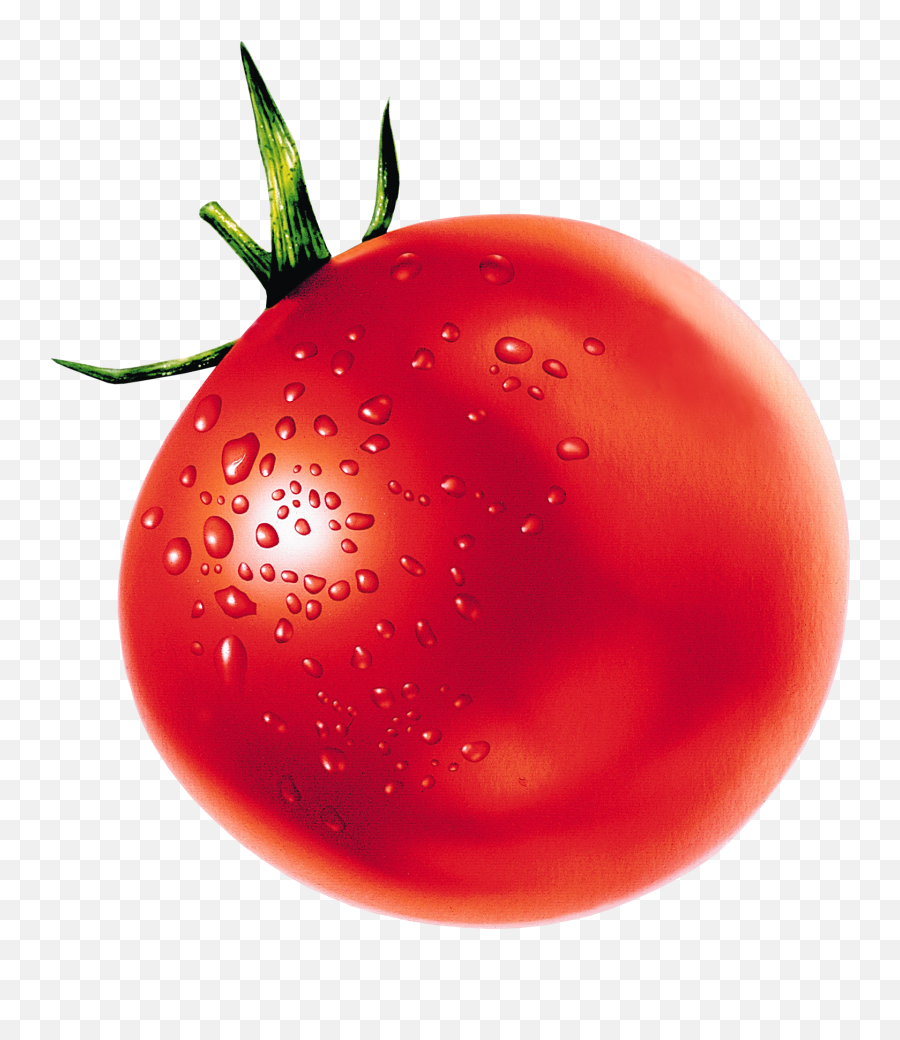 Red Tomatoes Png Image For Free Download - Tomato Clear Background,Salad Transparent Background