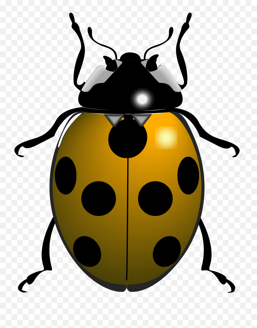 Library Of Free Ladybug Vector Downloads Png Files - Black And White Ladybug,Free Png Downloads