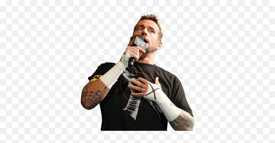 Wwe 10 Storylines Weu0027d Love To See For The Rock Bleacher - Cm Punk On Mic Nexus Png,Dolph Ziggler Png