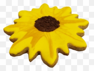 Sunflower Cookie - png