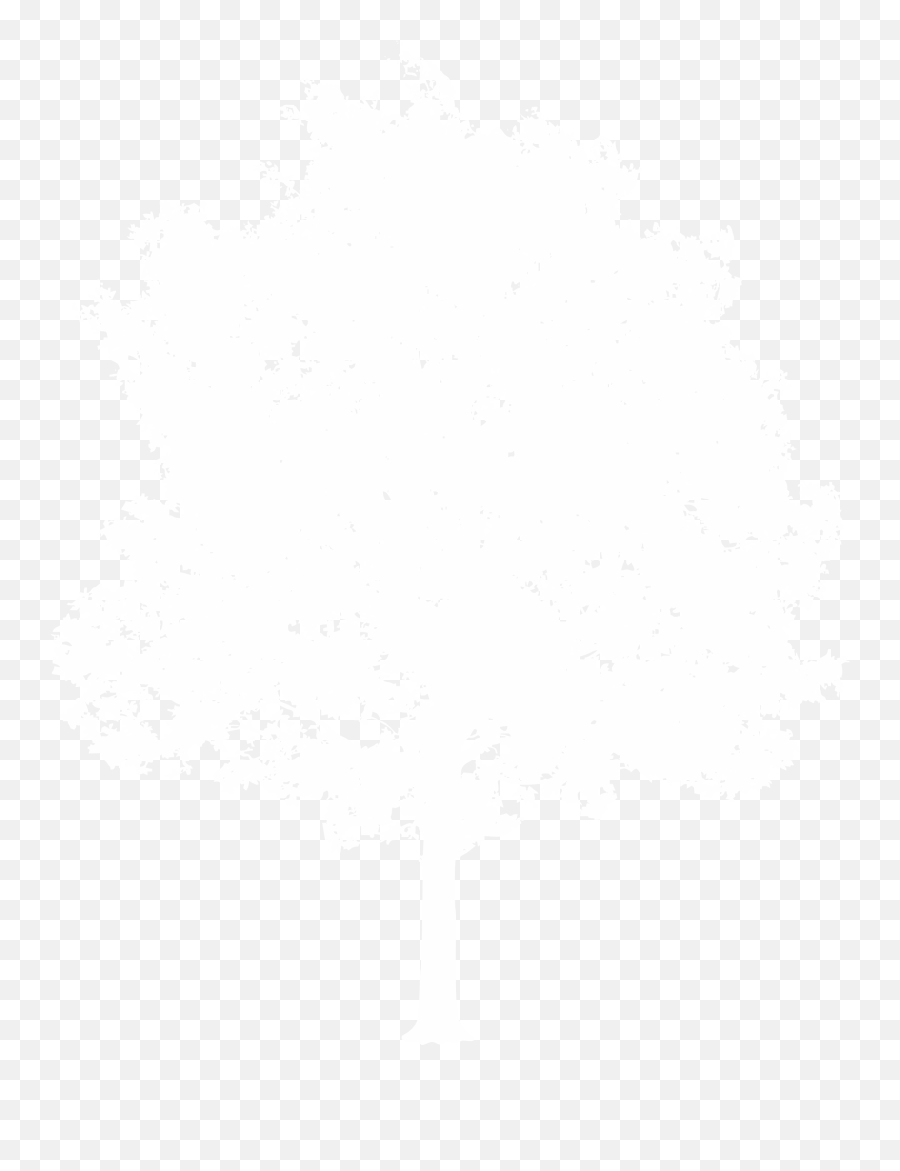 Download Hd White Tree Png Transparent Image - Nicepngcom Illustration,Tree Png Transparent